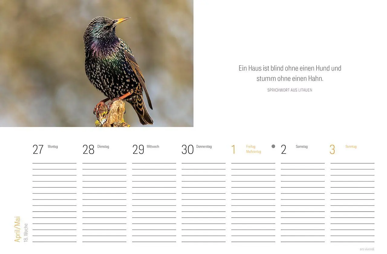 Bild: 9783747207857 | Tischkalender Vogel 2027 | Wochentischkalender | Vivendi Ars | 53 S.