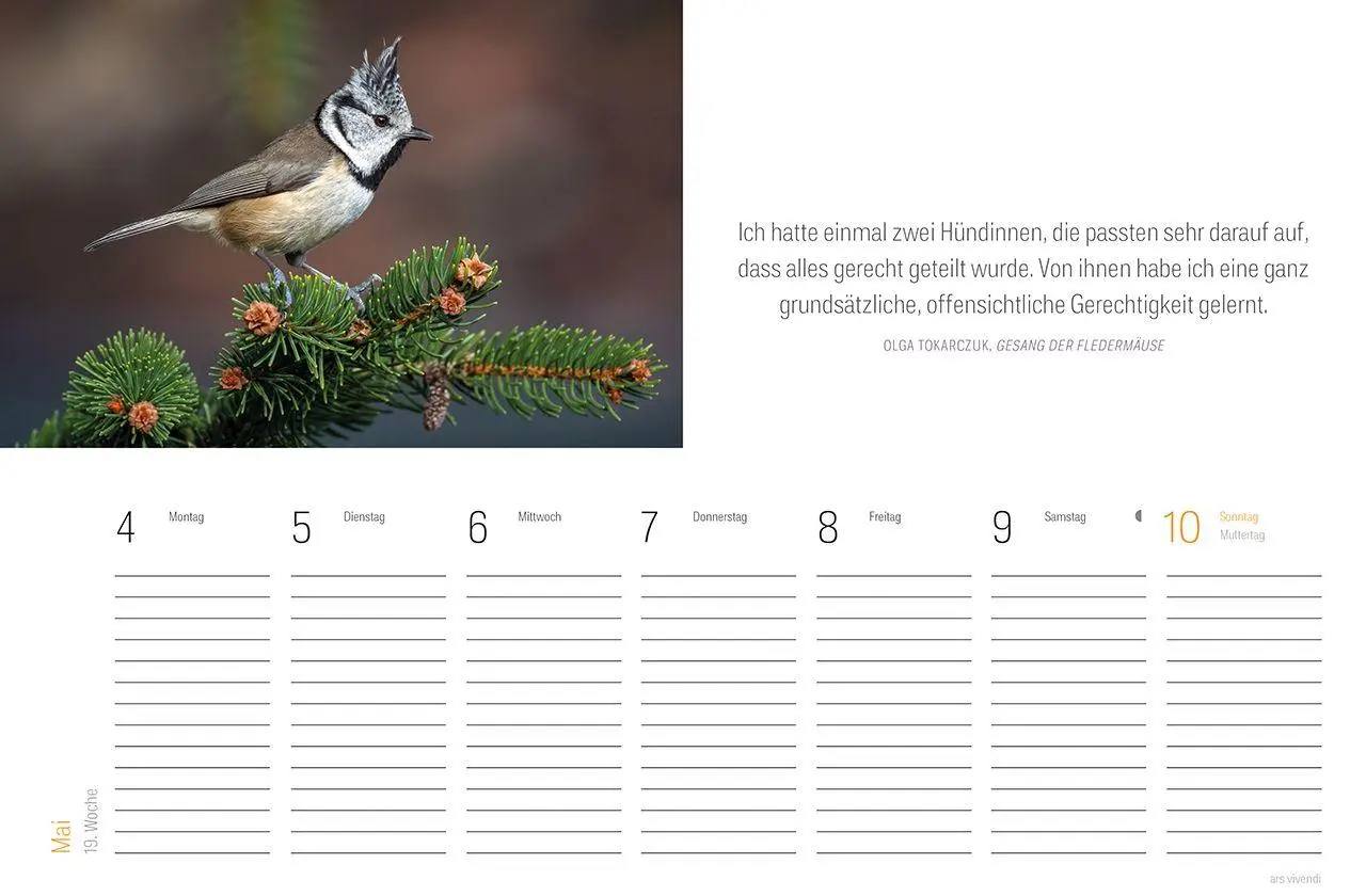 Bild: 9783747207857 | Tischkalender Vogel 2027 | Wochentischkalender | Vivendi Ars | 53 S.