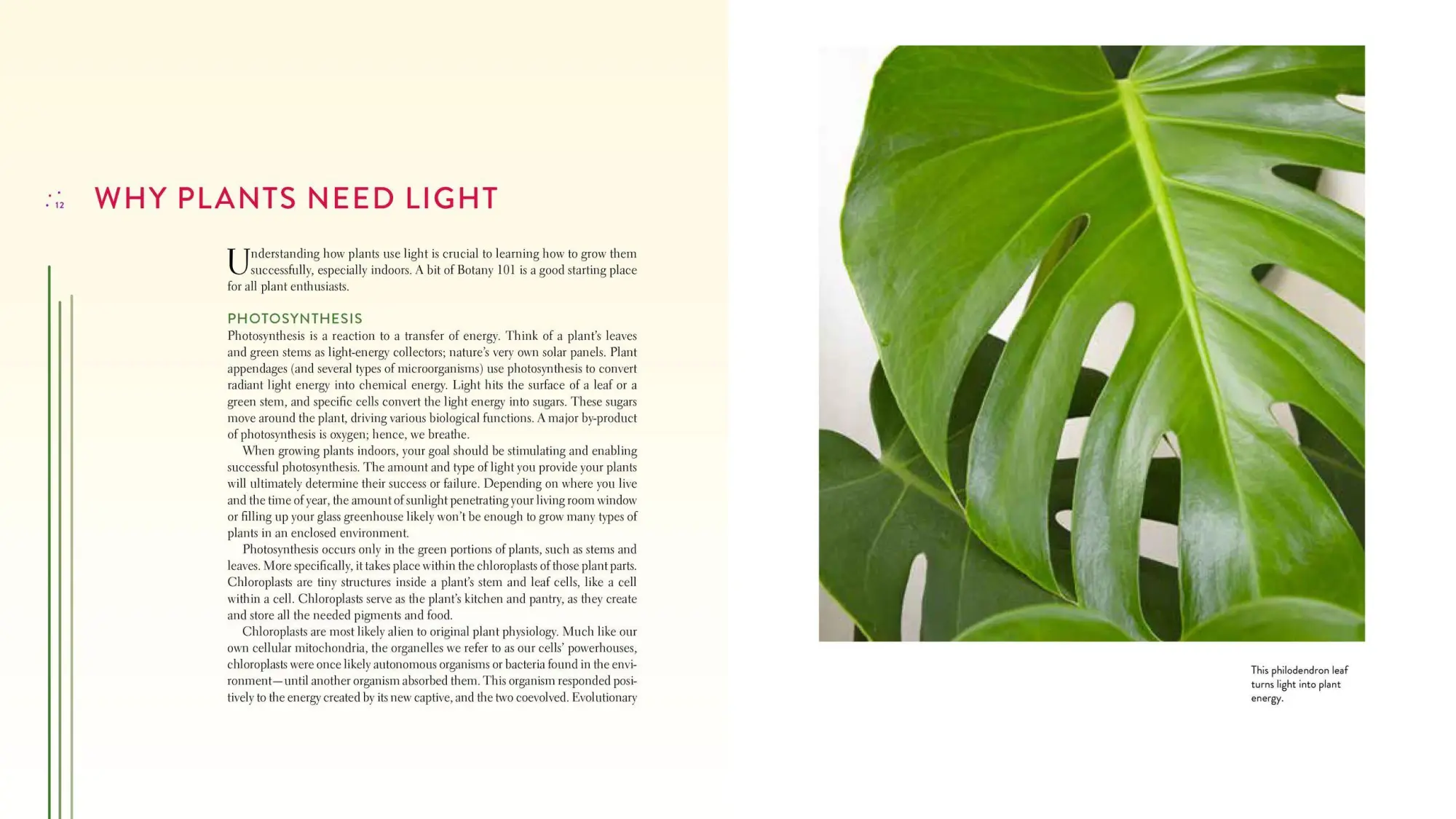 Bild: 9781604697957 | Gardening Under Lights | The Complete Guide for Indoor Growers | Buch