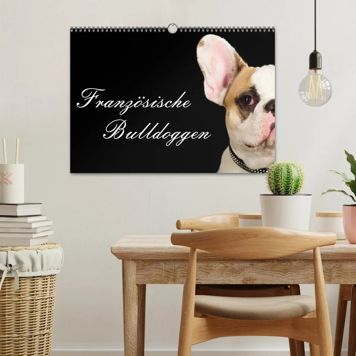 Bild: 9783516147957 | Französische Bulldoggen (Wandkalender 2026 DIN A3 quer), CALVENDO...