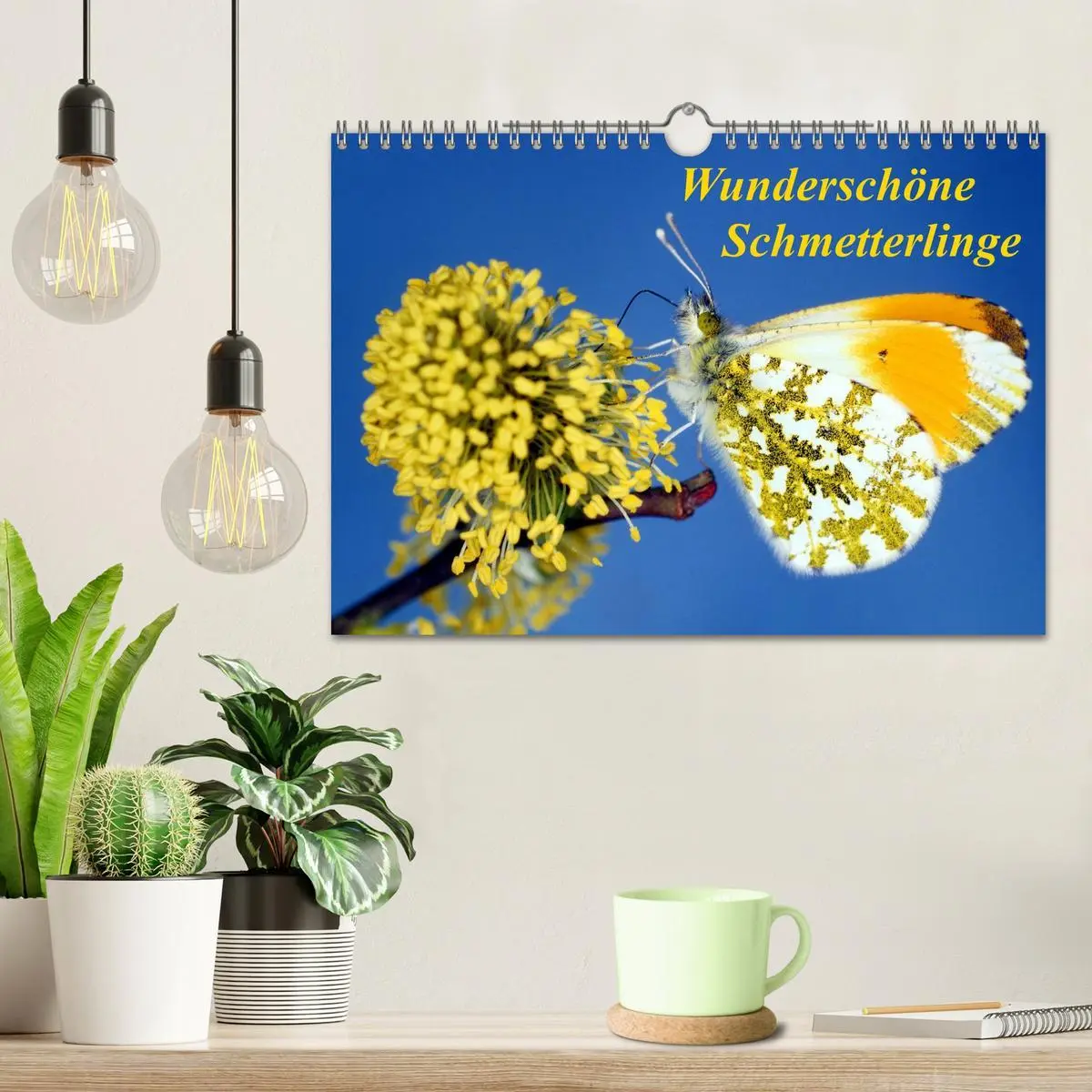 Bild: 9783516217957 | Wunderschöne Schmetterlinge (Wandkalender 2026 DIN A4 quer),...