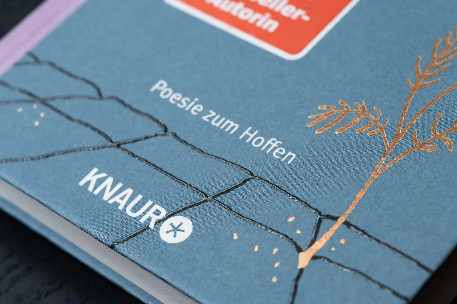 Bild: 9783426568057 | Das Gold in den Fugen | Leah Weigand | Buch | 160 S. | Deutsch | 2026