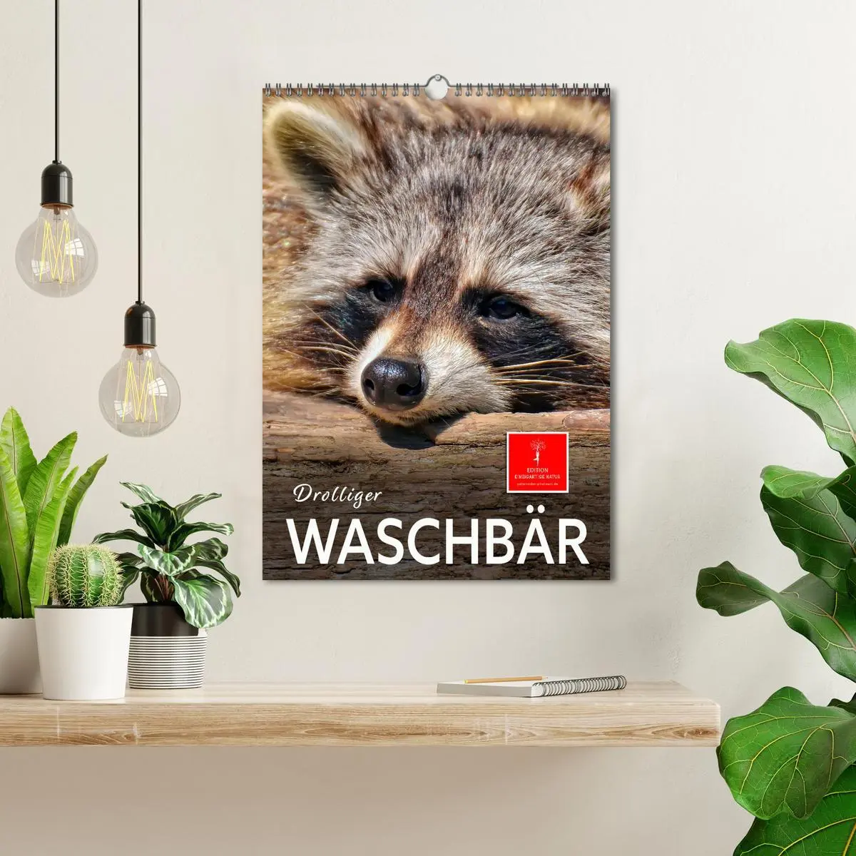 Bild: 9783516348057 | Drolliger Waschbär (Wandkalender 2026 DIN A3 hoch), CALVENDO...