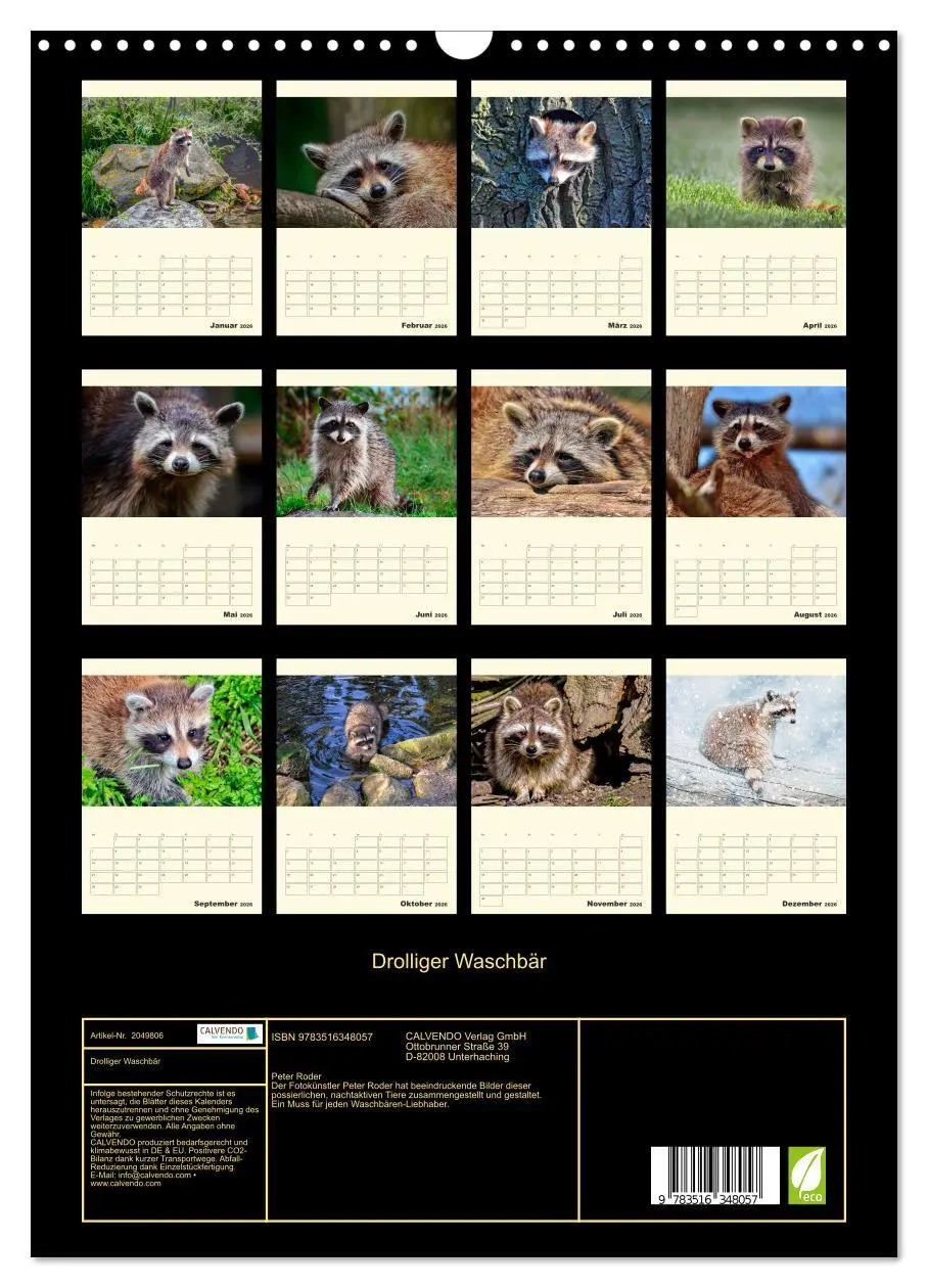 Bild: 9783516348057 | Drolliger Waschbär (Wandkalender 2026 DIN A3 hoch), CALVENDO...