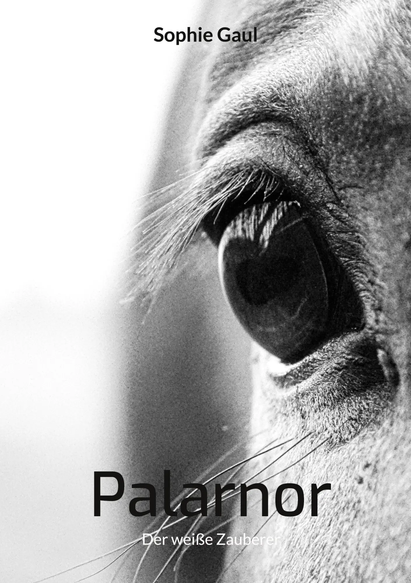 Cover: 9783756238057 | Palarnor | Der weiße Zauberer | Sophie Gaul | Taschenbuch | 300 S.