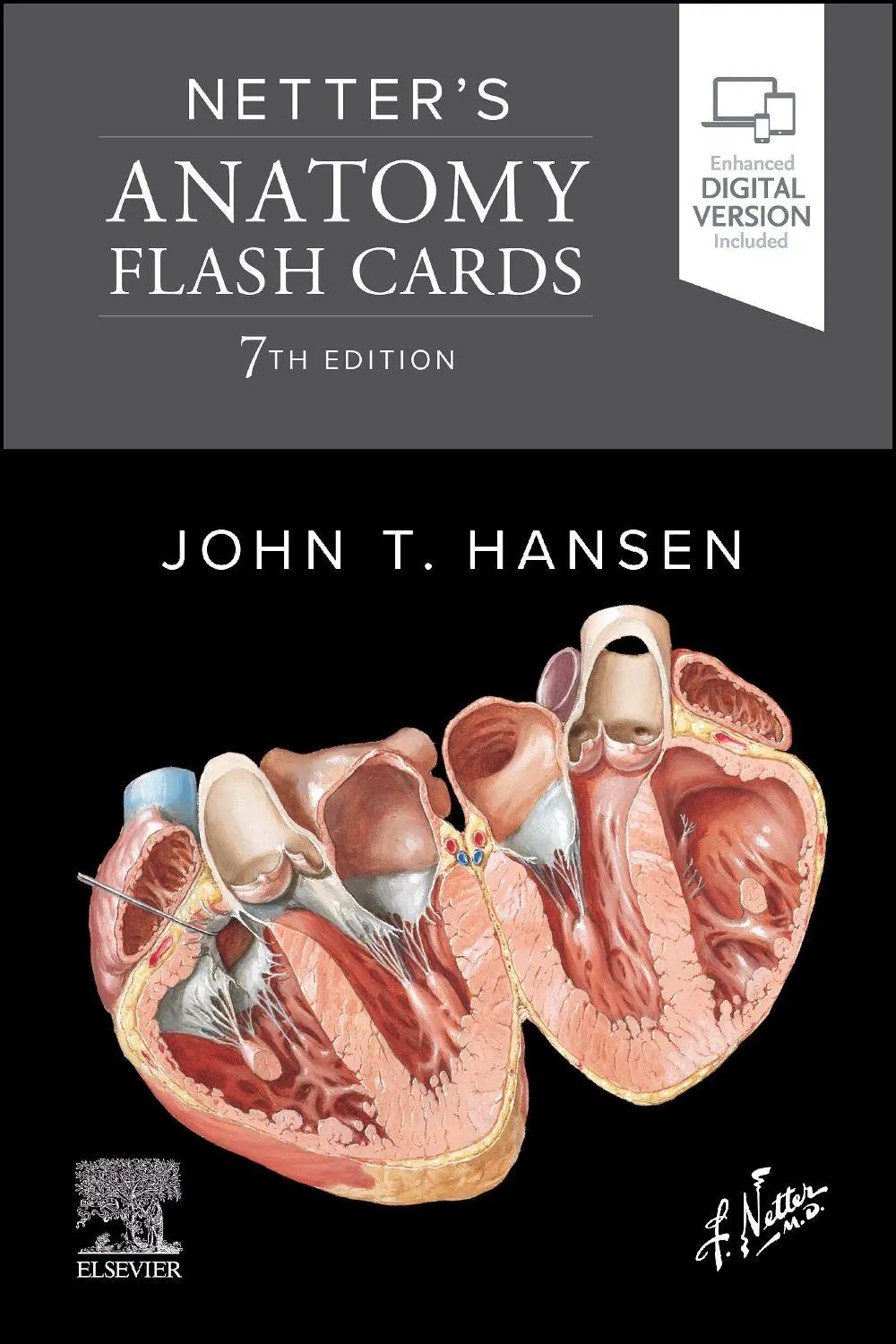Cover: 9780443378157 | Netter's Anatomy Flash Cards | John T. Hansen | Netter Basic Science