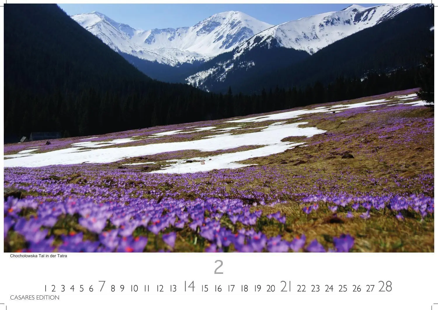 Bild: 9781835248157 | Polen Kalender 2027 - Wandkalender Fotokalender Osteuropa 50x35cm...