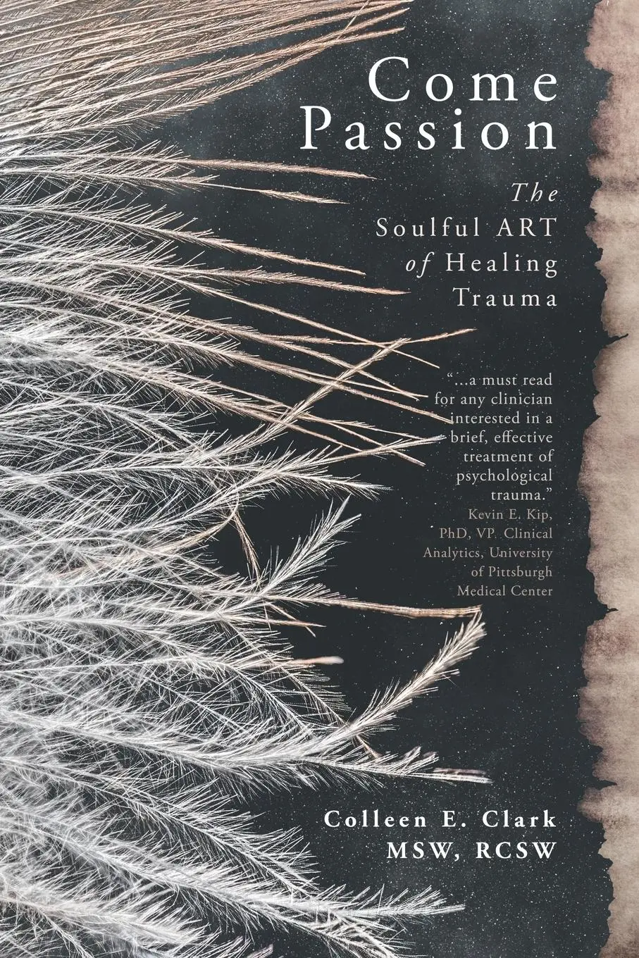 Cover: 9781990688157 | Come Passion | The Soulful ART of Healing Trauma | Colleen E. Clark