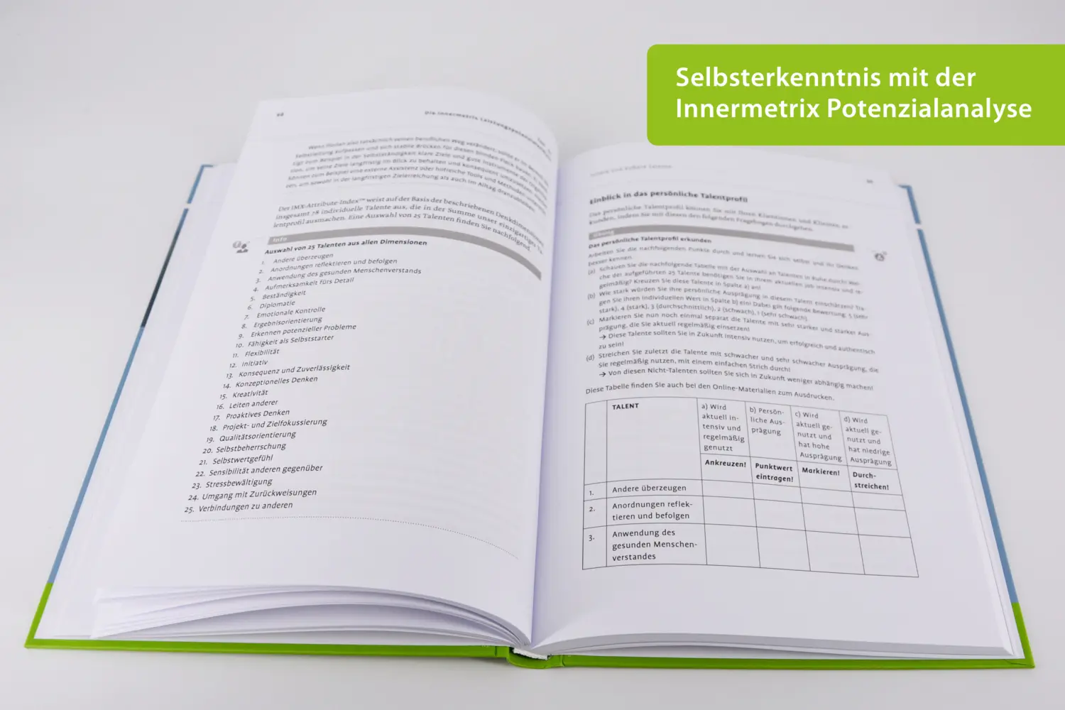 Bild: 9783407368157 | Praxisbuch Berufliche Freiheit und Erfolg | Tanja Klußmann | Bundle