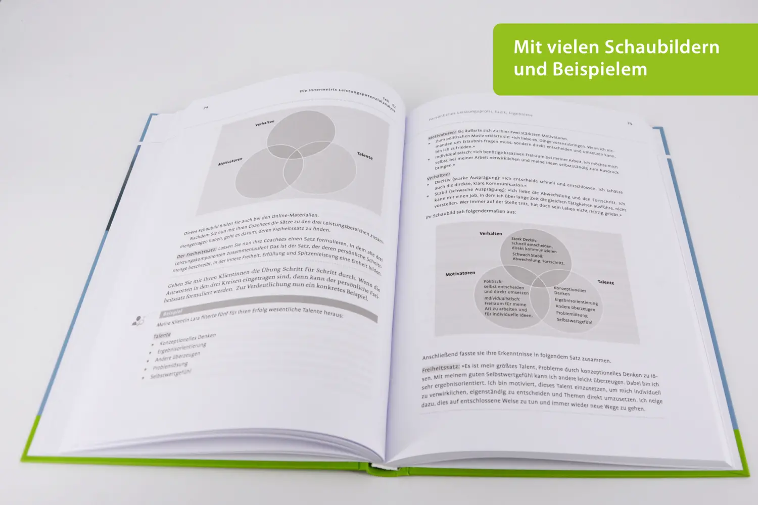 Bild: 9783407368157 | Praxisbuch Berufliche Freiheit und Erfolg | Tanja Klußmann | Bundle
