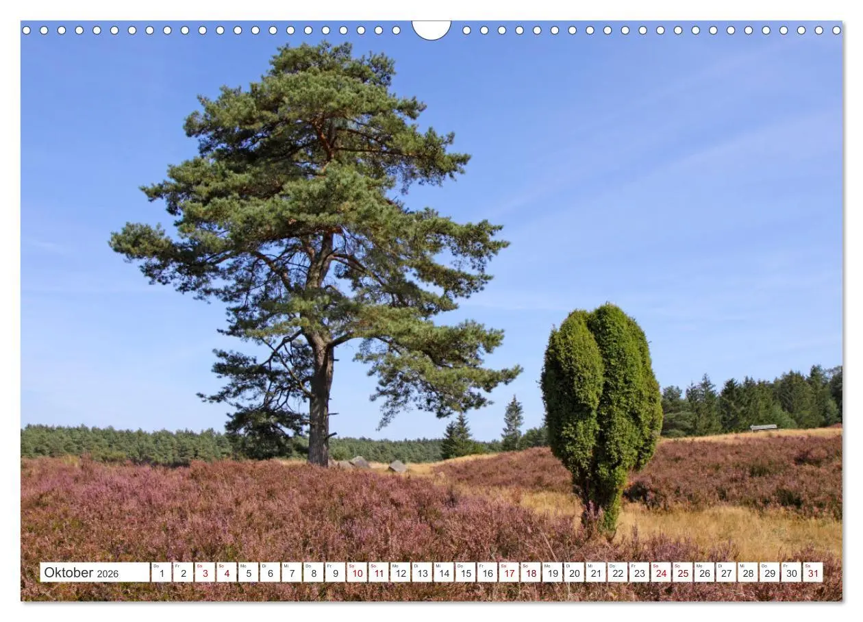 Bild: 9783457628157 | Die Lüneburger Heide - Ausflugsziel im Norden (Wandkalender 2026...