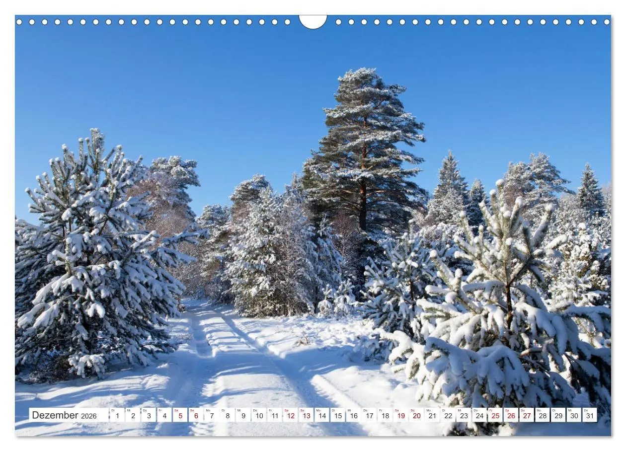 Bild: 9783457628157 | Die Lüneburger Heide - Ausflugsziel im Norden (Wandkalender 2026...