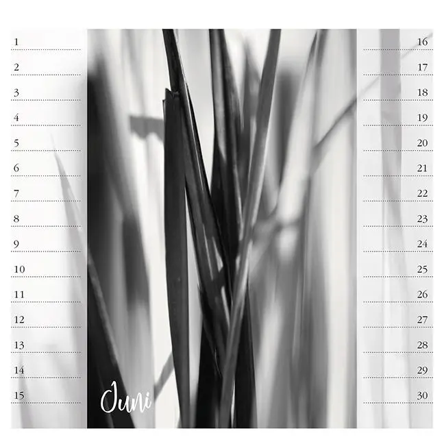 Bild: 9783861928157 | Bodensee. Immerwährender Geburtstags- und Tischkalender | Bichler