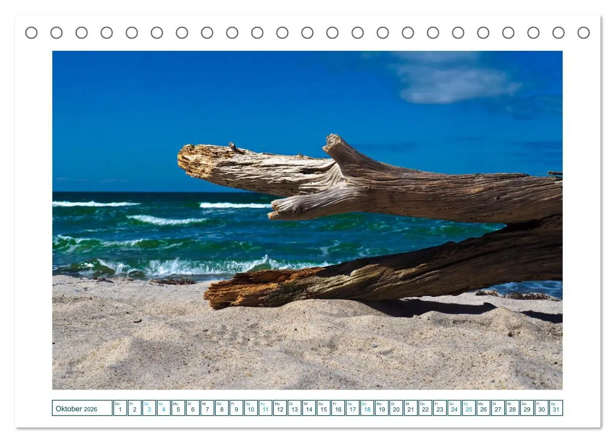 Bild: 9783457308257 | Der Weststrand am Darß (Tischkalender 2026 DIN A5 quer), CALVENDO...