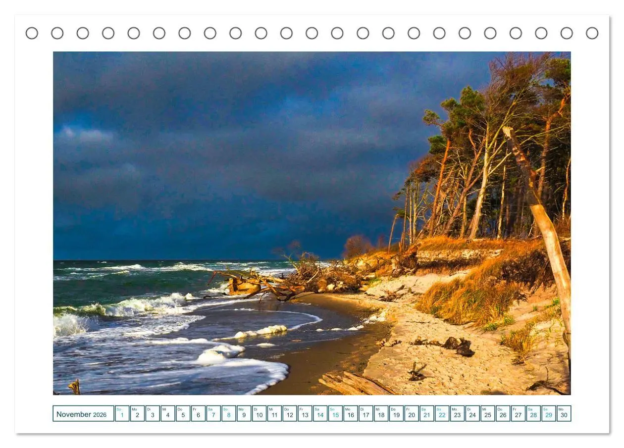 Bild: 9783457308257 | Der Weststrand am Darß (Tischkalender 2026 DIN A5 quer), CALVENDO...