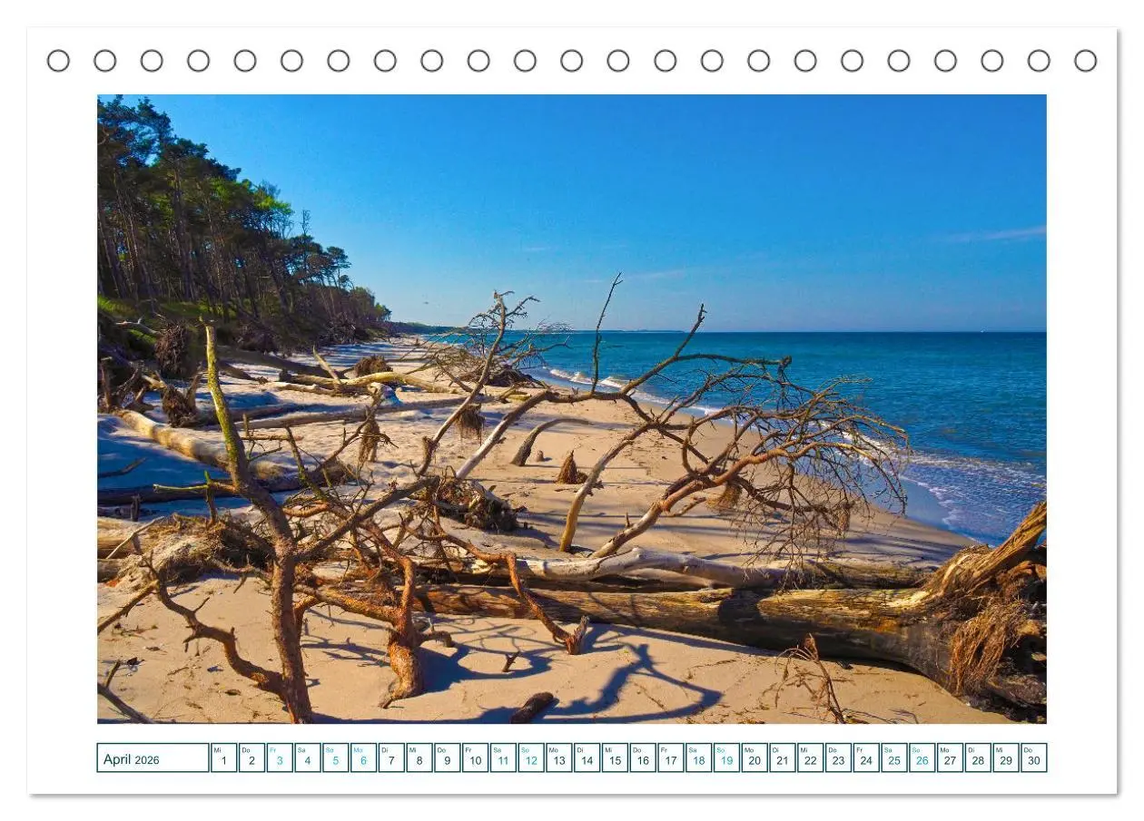 Bild: 9783457308257 | Der Weststrand am Darß (Tischkalender 2026 DIN A5 quer), CALVENDO...