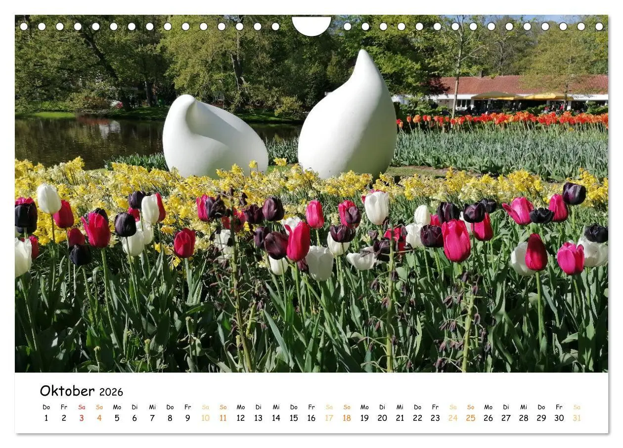Bild: 9783457548257 | Auf Tour im Land der Tulpen (Wandkalender 2026 DIN A4 quer),...