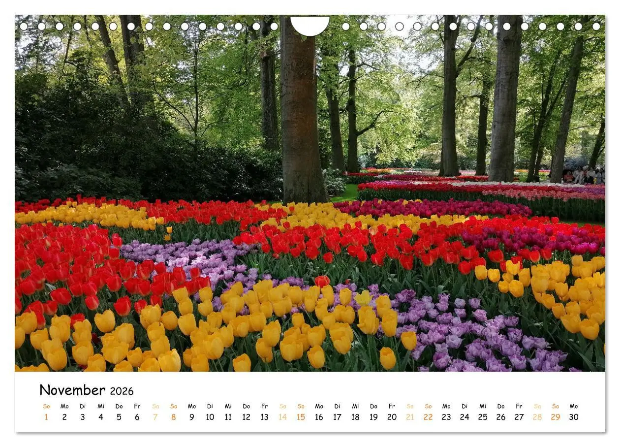 Bild: 9783457548257 | Auf Tour im Land der Tulpen (Wandkalender 2026 DIN A4 quer),...