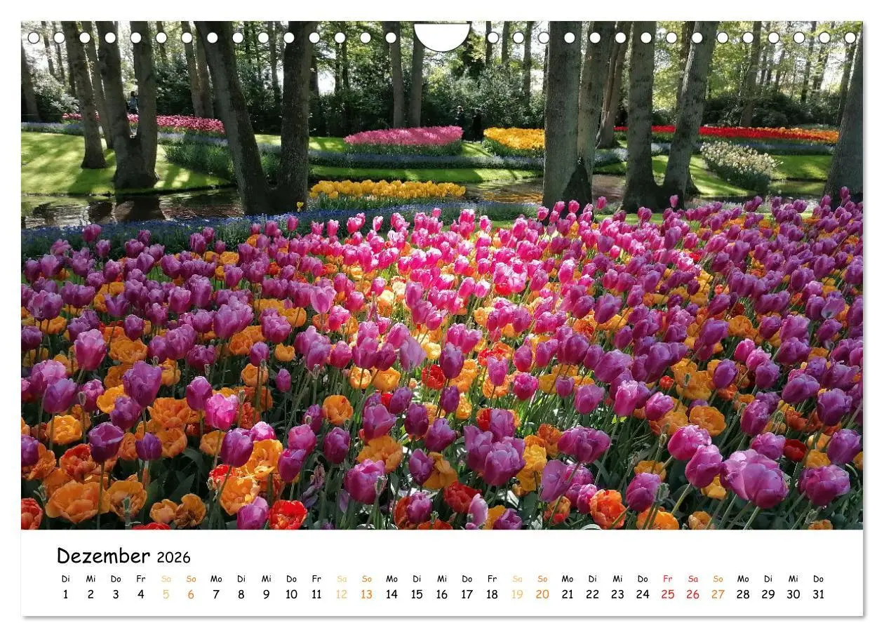 Bild: 9783457548257 | Auf Tour im Land der Tulpen (Wandkalender 2026 DIN A4 quer),...