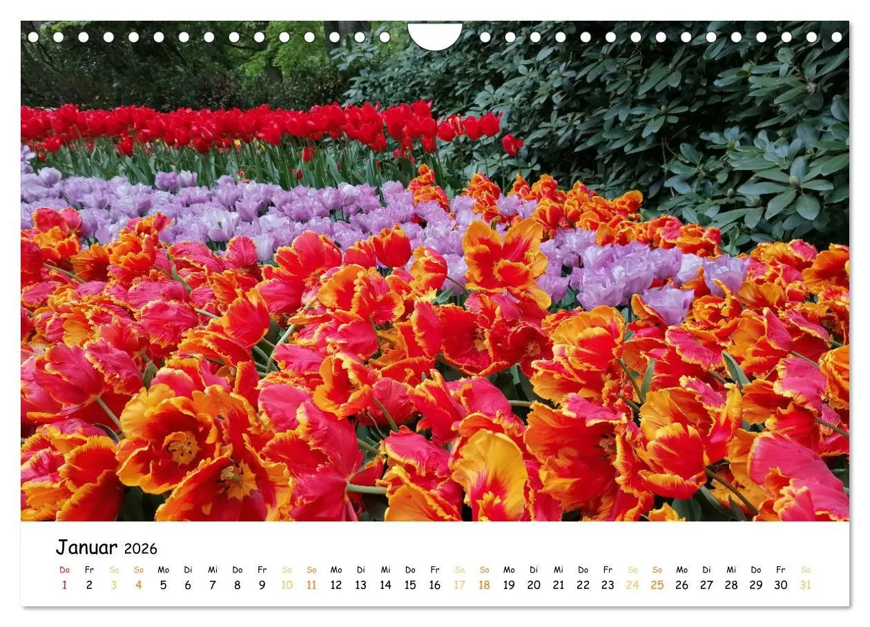 Bild: 9783457548257 | Auf Tour im Land der Tulpen (Wandkalender 2026 DIN A4 quer),...