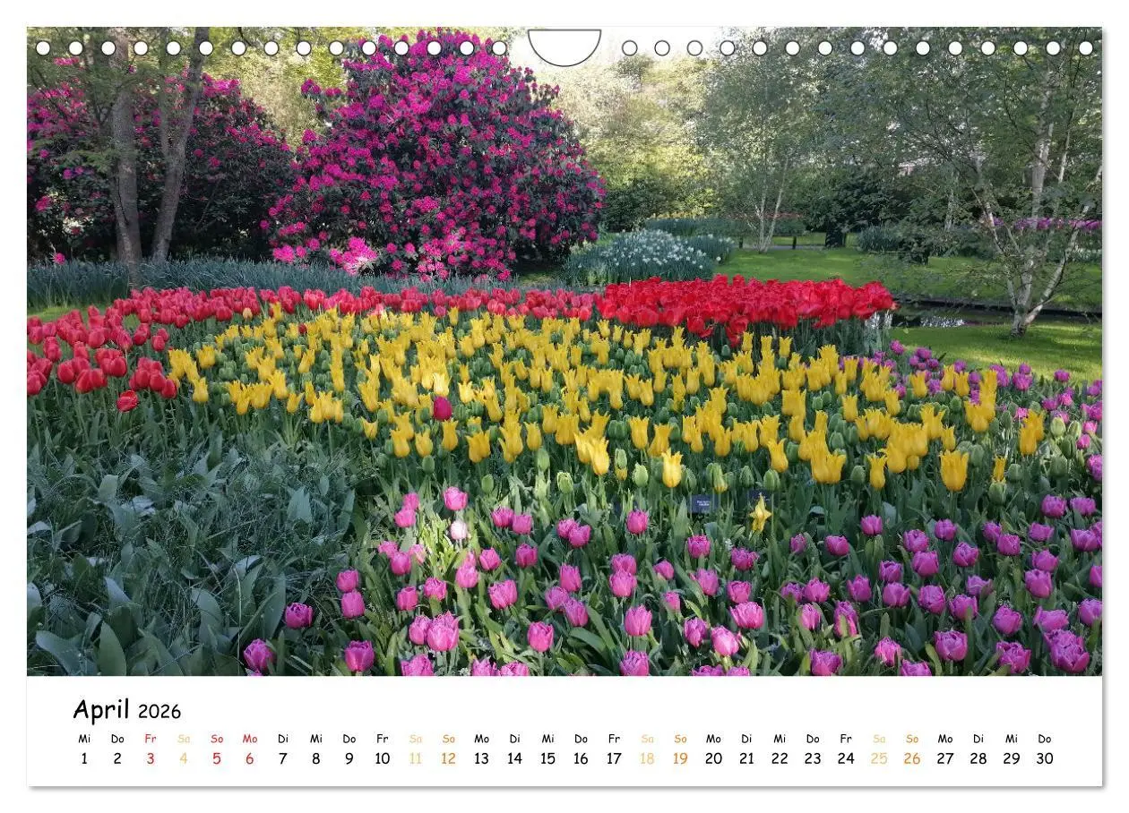 Bild: 9783457548257 | Auf Tour im Land der Tulpen (Wandkalender 2026 DIN A4 quer),...
