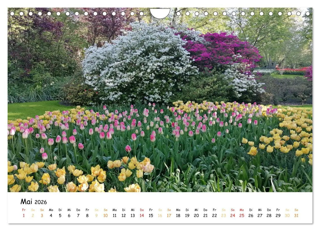 Bild: 9783457548257 | Auf Tour im Land der Tulpen (Wandkalender 2026 DIN A4 quer),...