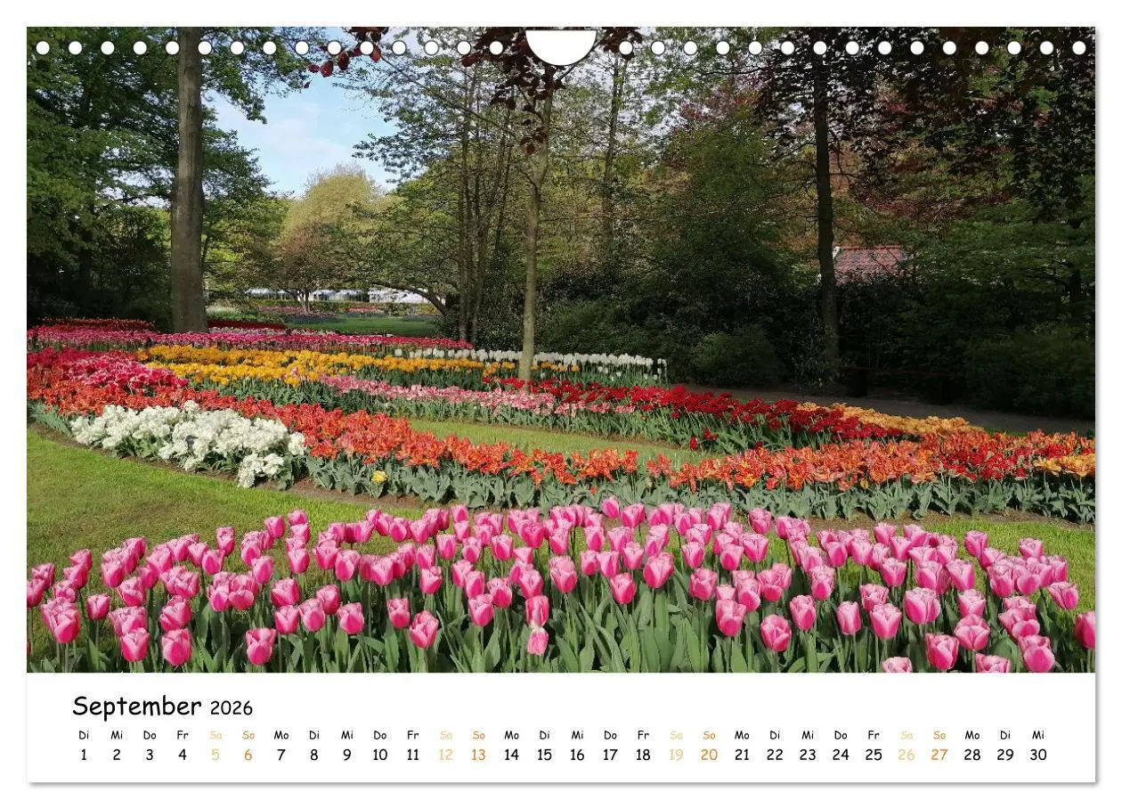 Bild: 9783457548257 | Auf Tour im Land der Tulpen (Wandkalender 2026 DIN A4 quer),...