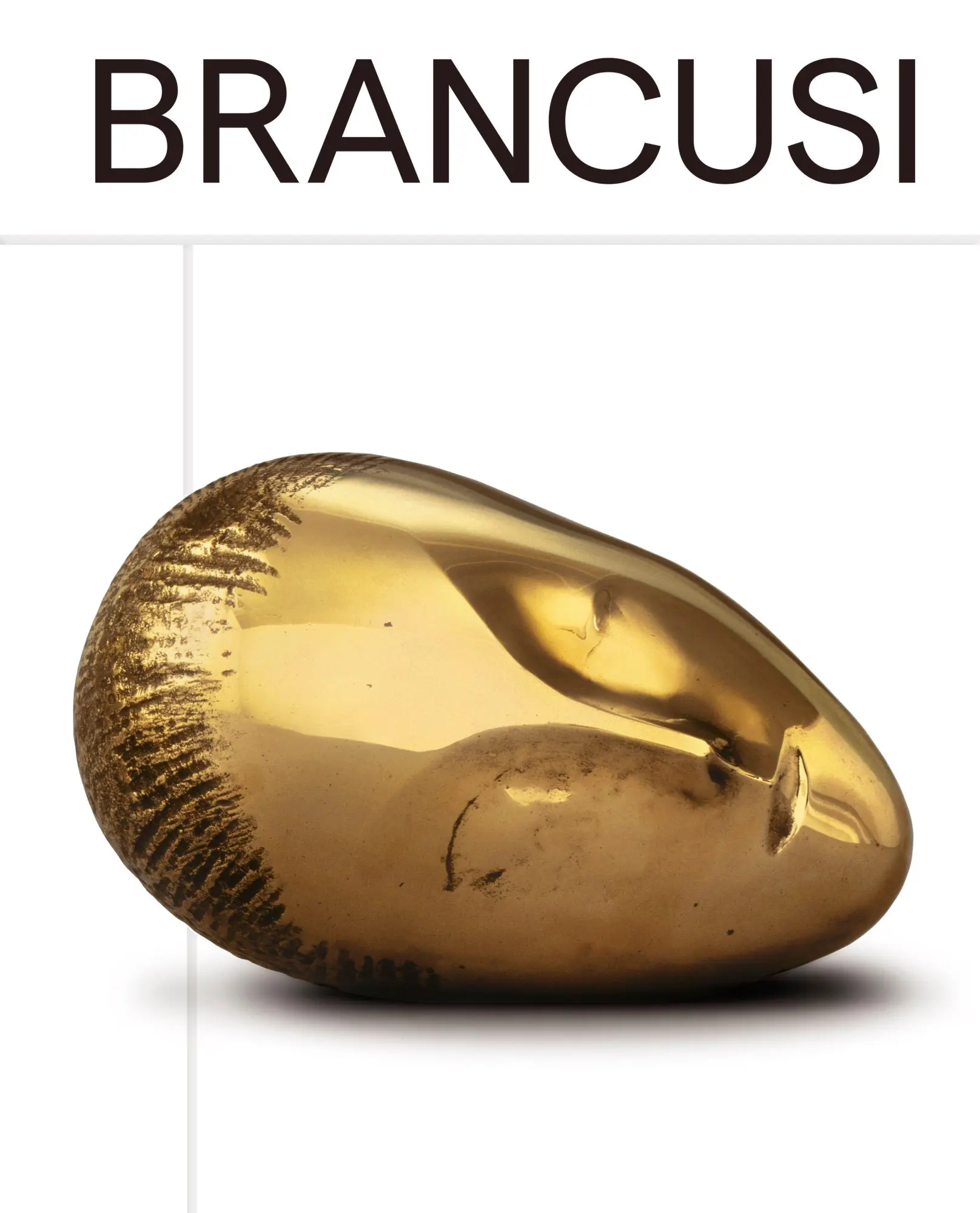 Cover: 9783954768257 | Brancusi | Constantin Brancusi | Buch | 240 S. | Englisch | 2026