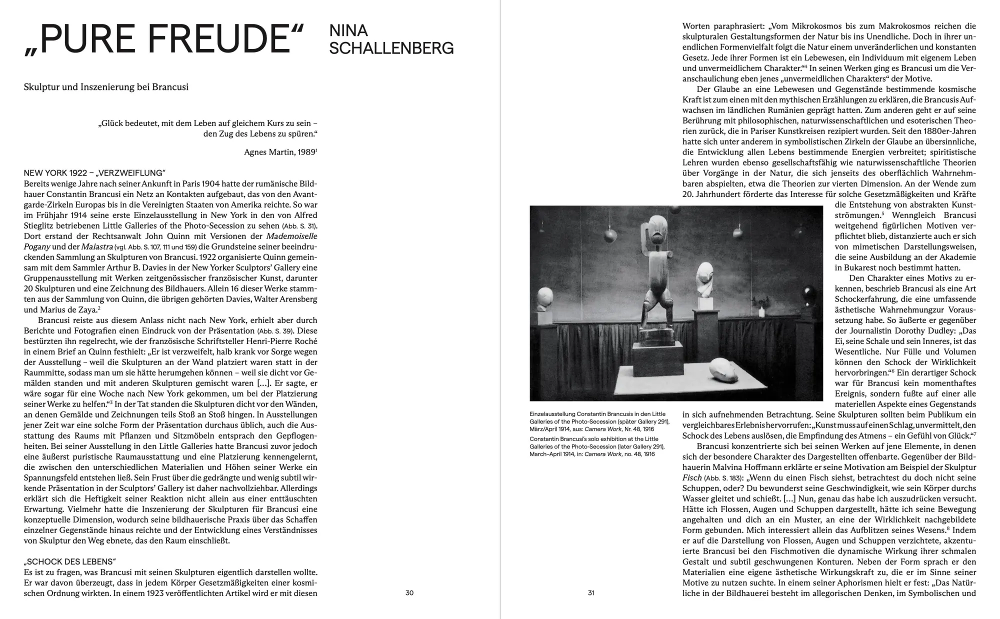 Bild: 9783954768257 | Brancusi | Constantin Brancusi | Buch | 240 S. | Englisch | 2026