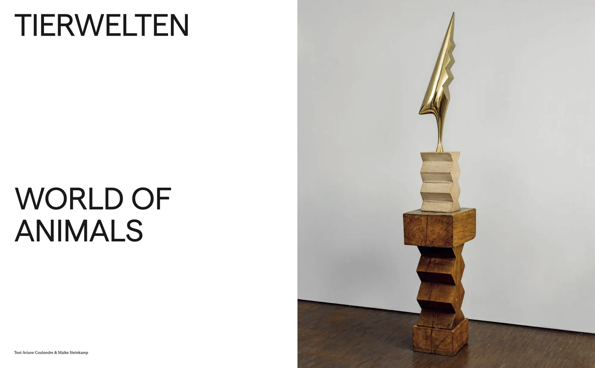 Bild: 9783954768257 | Brancusi | Constantin Brancusi | Buch | 240 S. | Englisch | 2026