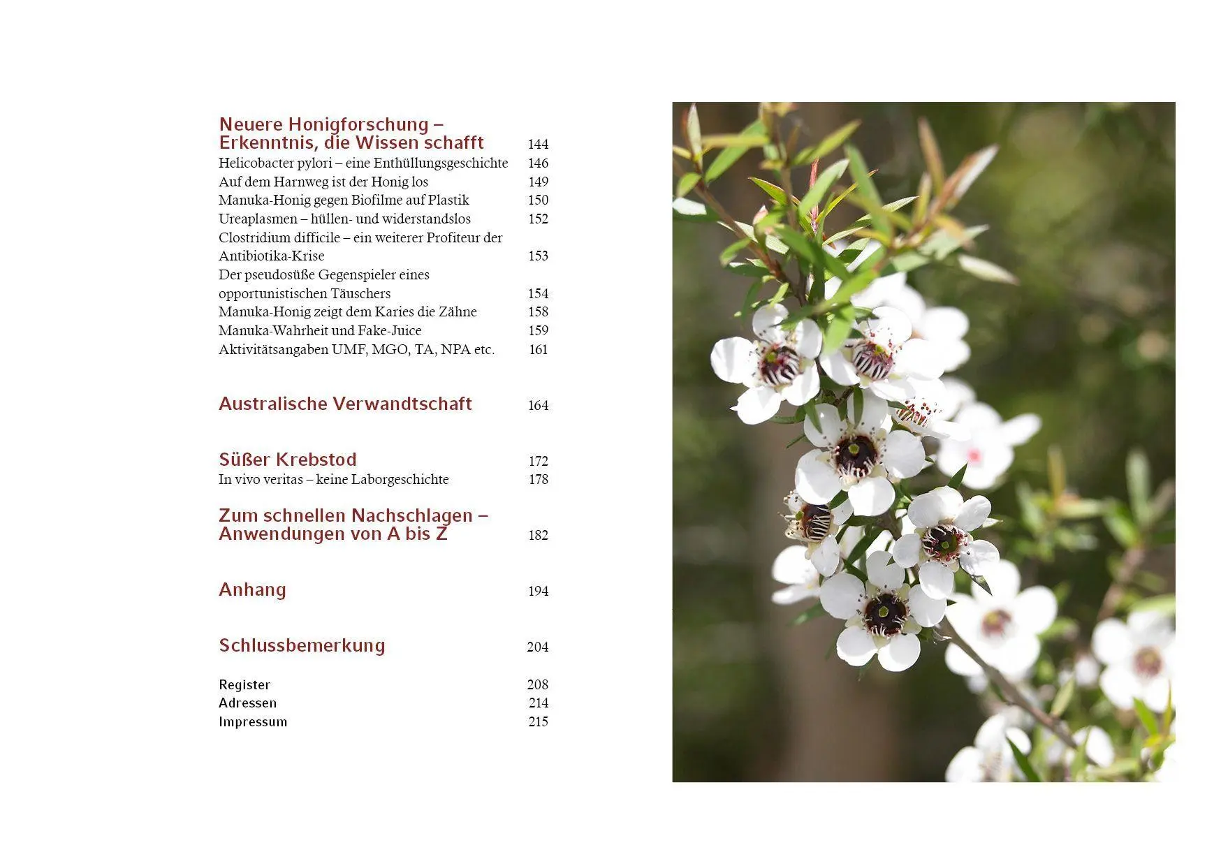 Bild: 9783968558257 | Manuka-Honig | Ein Naturprodukt mit außergewöhnlicher Heilkraft | Mix
