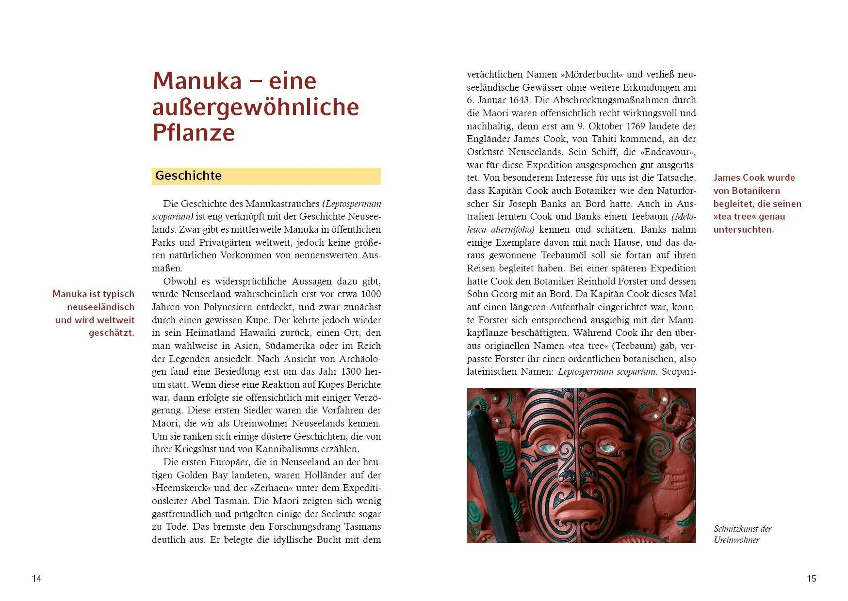 Bild: 9783968558257 | Manuka-Honig | Ein Naturprodukt mit außergewöhnlicher Heilkraft | Mix