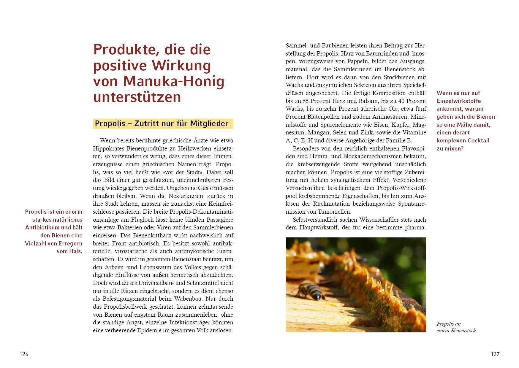 Bild: 9783968558257 | Manuka-Honig | Ein Naturprodukt mit außergewöhnlicher Heilkraft | Mix