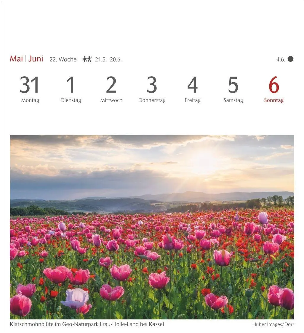 Bild: 9783840038457 | Lichtblicke Postkartenkalender 2027 - Wochenkalender mit 53 Postkarten