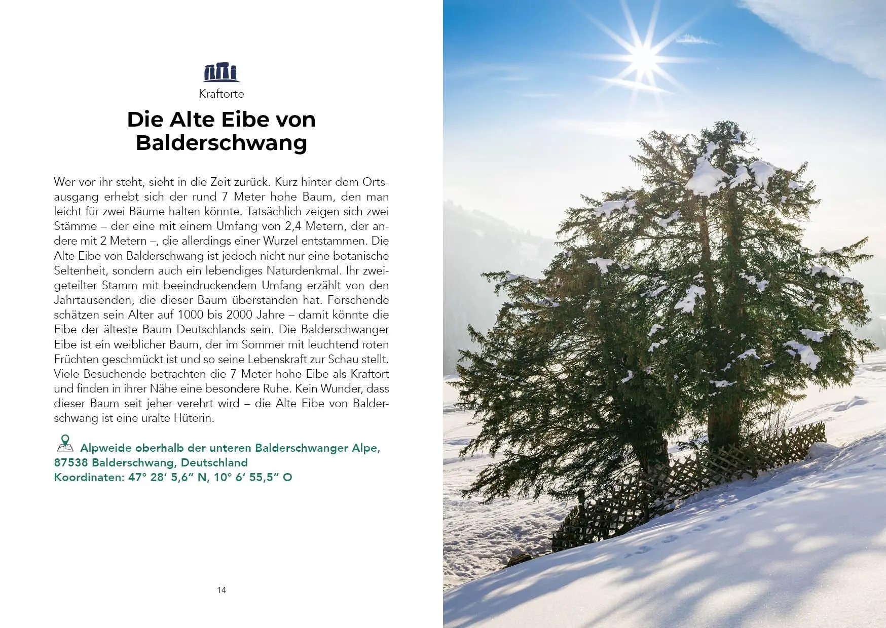 Bild: 9783742328557 | Der verrückteste Reiseführer für die Alpen | Corinna Böck (u. a.)