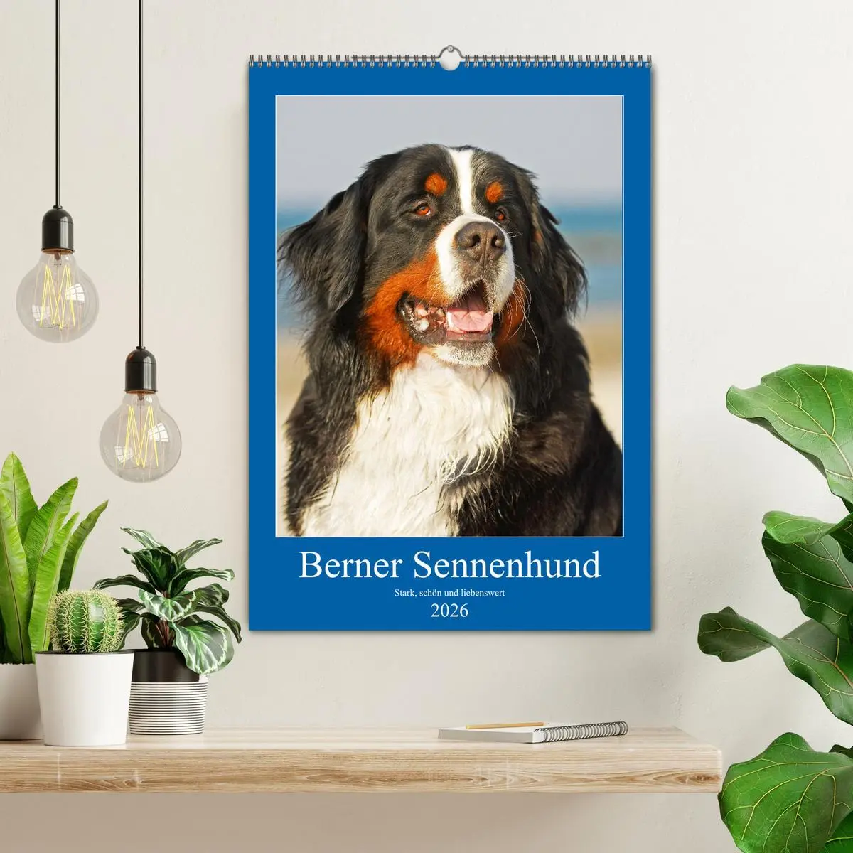 Bild: 9783516388657 | Berner Sennenhund - stark , schön und liebenswert (Wandkalender...