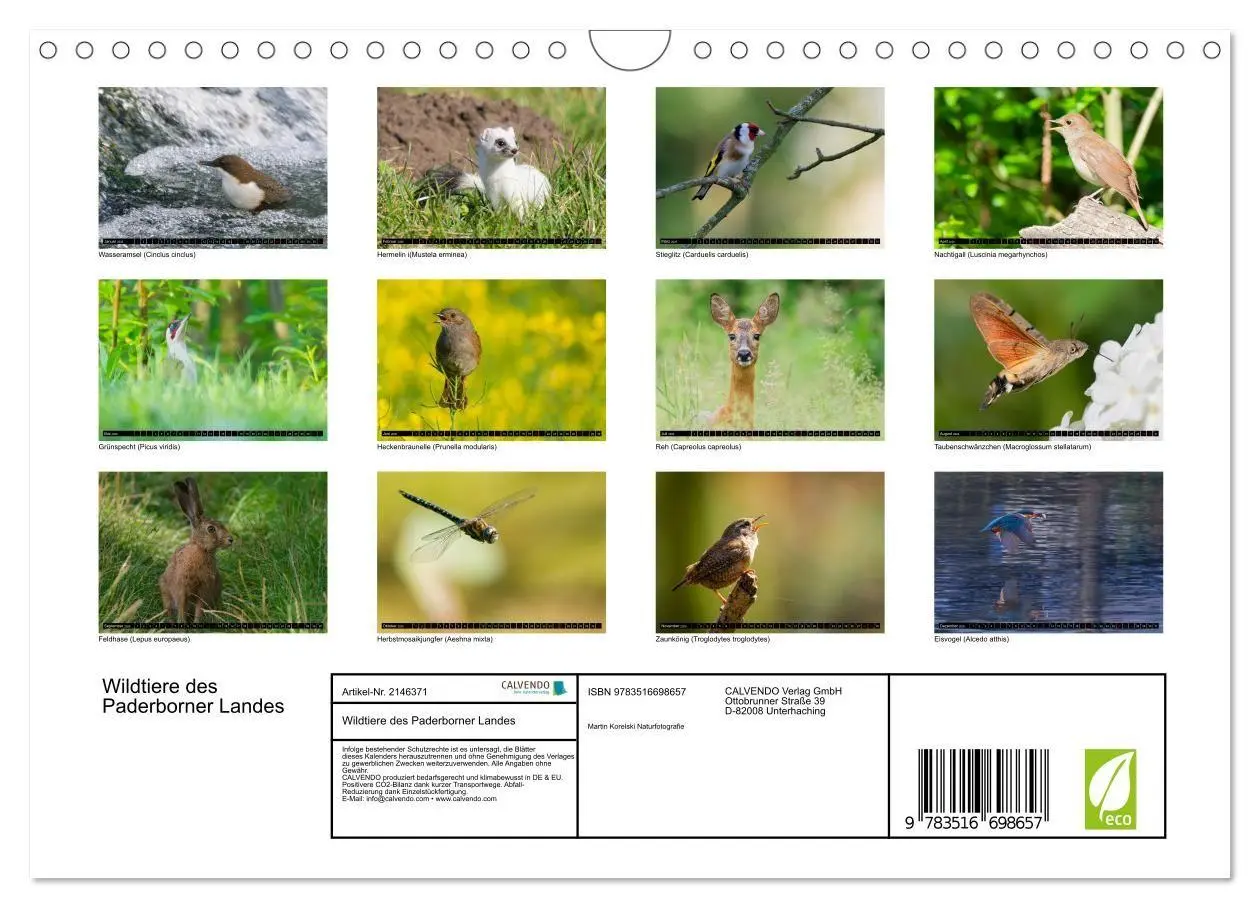 Bild: 9783516698657 | Wildtiere des Paderborner Landes (Wandkalender 2026 DIN A4 quer),...