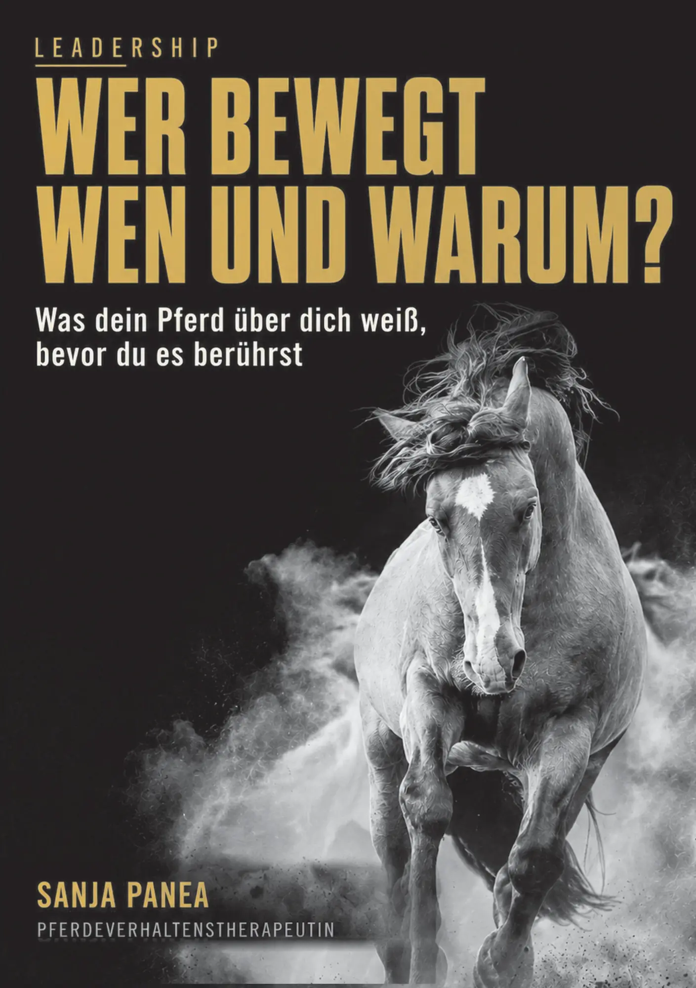 Cover: 9783567018657 | Wer bewegt wen und warum? | Sanja Panea | Taschenbuch | 228 S. | 2026