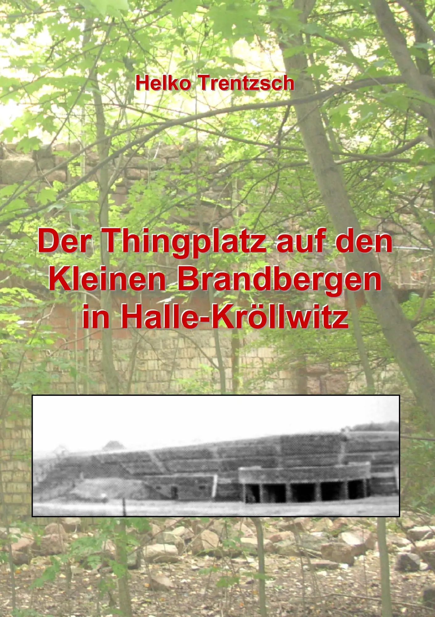 Cover: 9783839128657 | Der Thingplatz auf den Kleinen Brandbergen in Halle-Kröllwitz | Buch