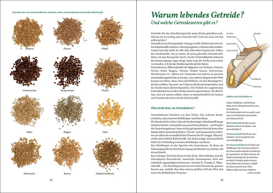 Bild: 9783981528657 | Die Vollwert-Fibel für die ganze Familie | Michaela Barthel | Buch