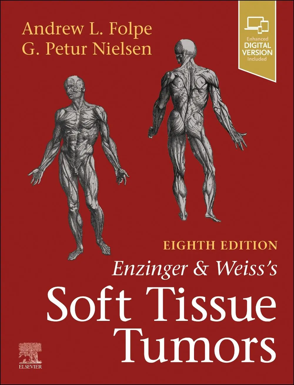 Cover: 9780443248757 | Enzinger and Weiss's Soft Tissue Tumors | Andrew L. Folpe (u. a.)