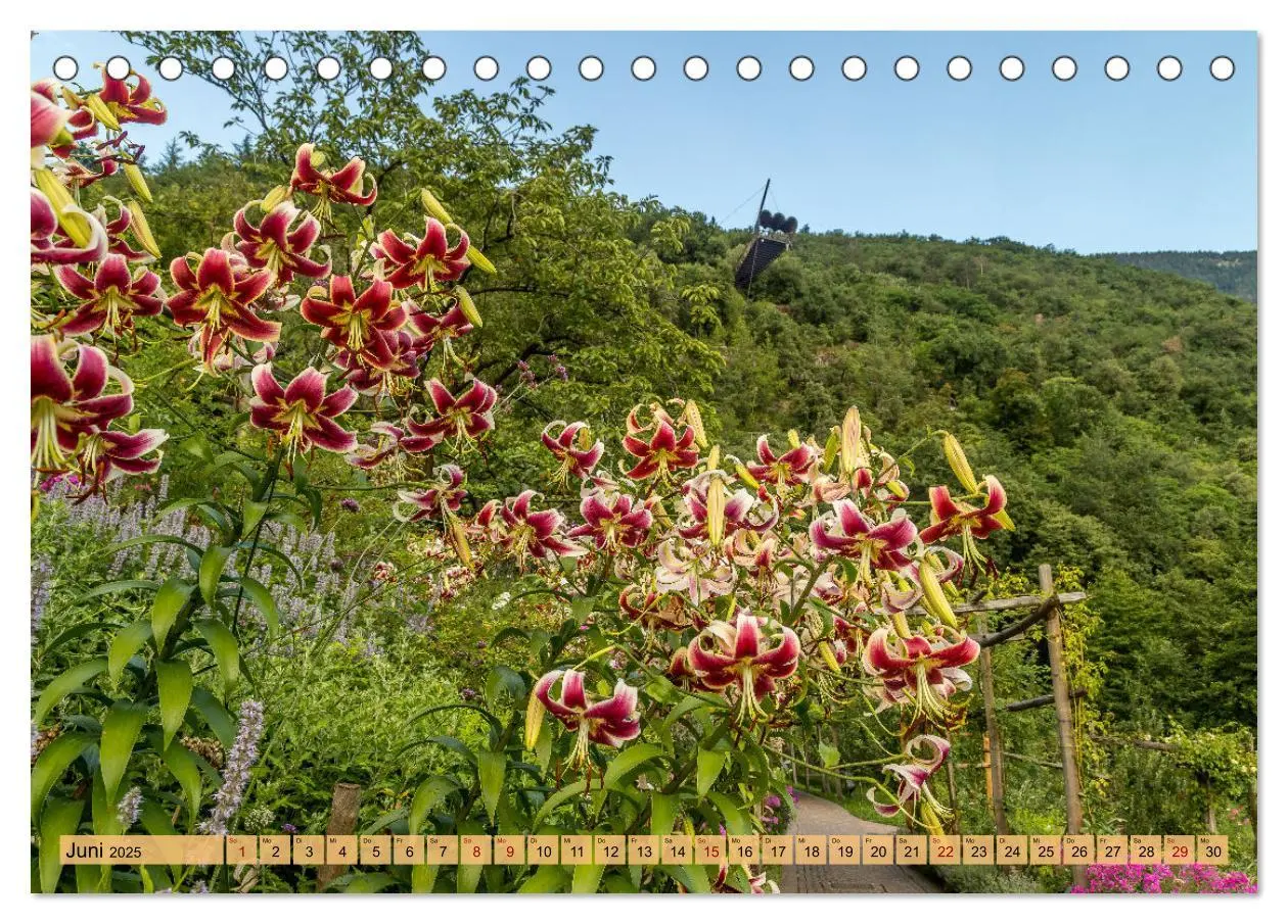Bild: 9783383868757 | Südtirol - Meraner Land (Tischkalender 2025 DIN A5 quer), CALVENDO...