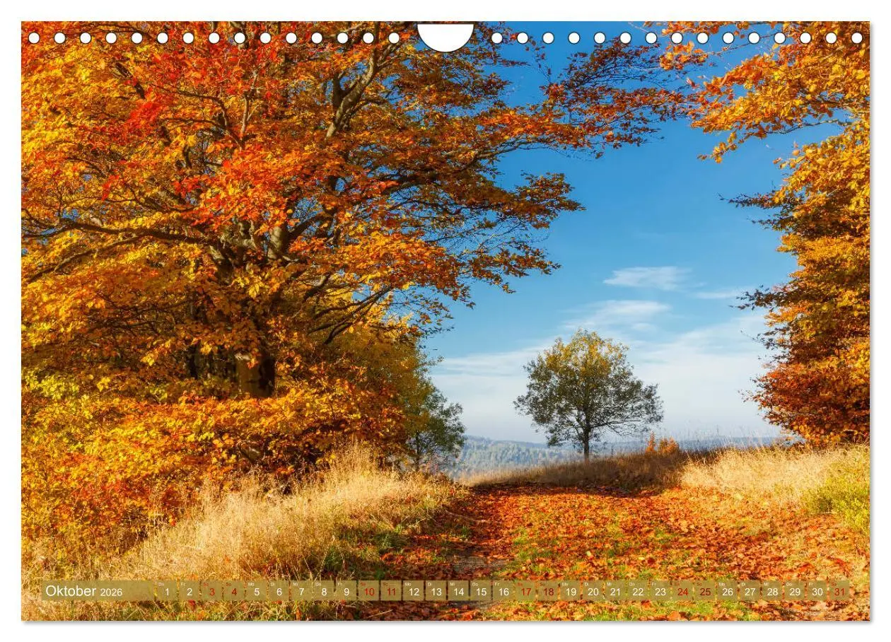Bild: 9783457738757 | Wege zur Entspannung 2026 (Wandkalender 2026 DIN A4 quer), CALVENDO...