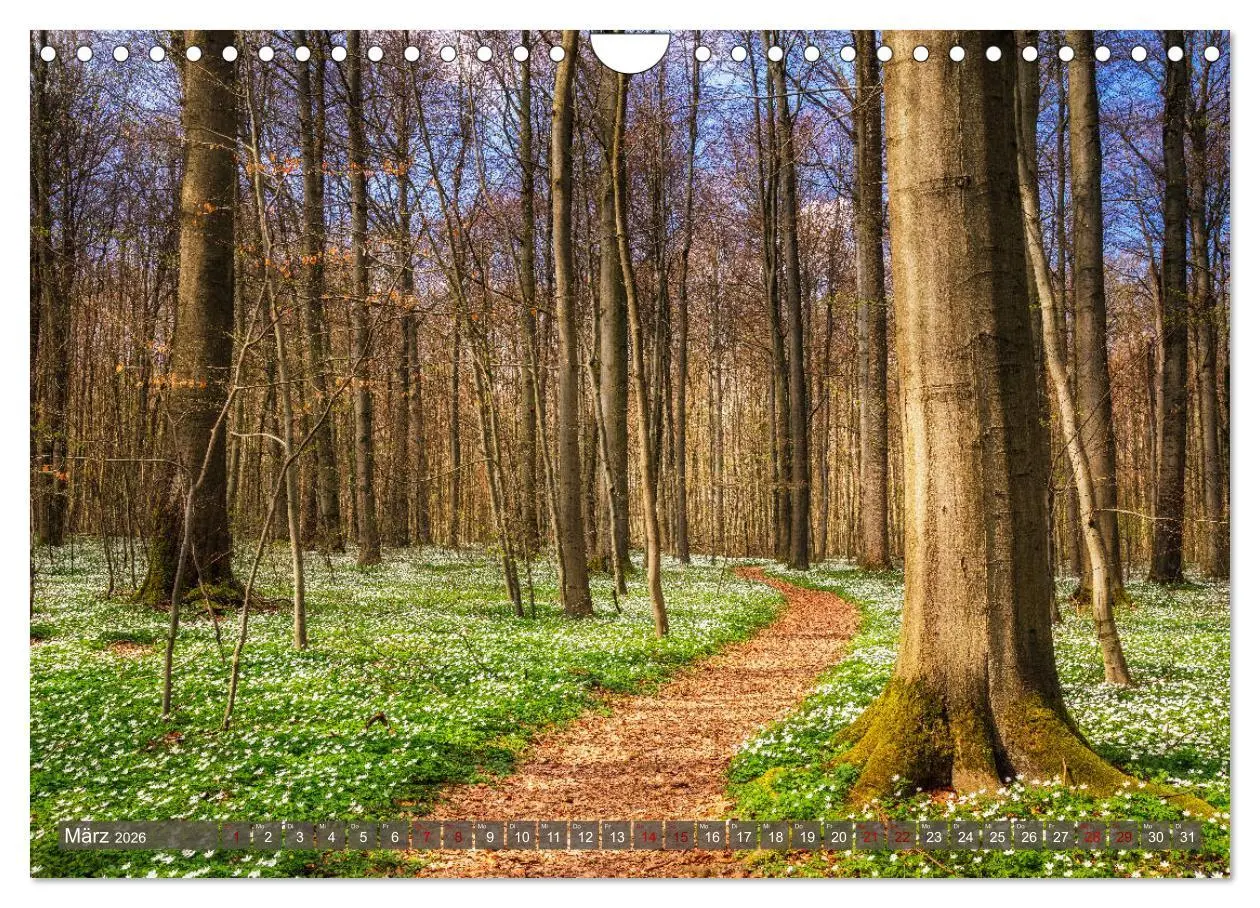 Bild: 9783457738757 | Wege zur Entspannung 2026 (Wandkalender 2026 DIN A4 quer), CALVENDO...