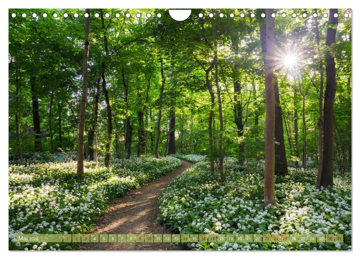 Bild: 9783457738757 | Wege zur Entspannung 2026 (Wandkalender 2026 DIN A4 quer), CALVENDO...