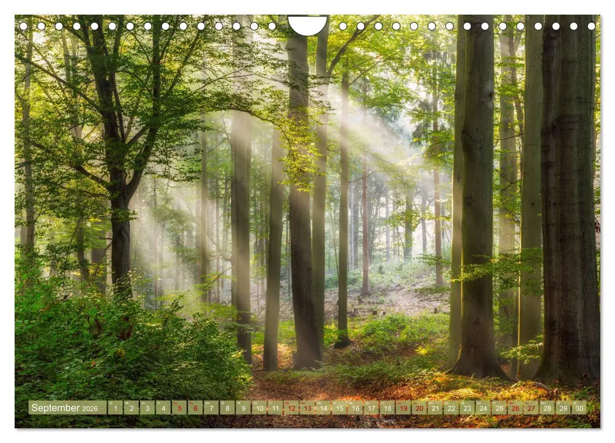 Bild: 9783457738757 | Wege zur Entspannung 2026 (Wandkalender 2026 DIN A4 quer), CALVENDO...