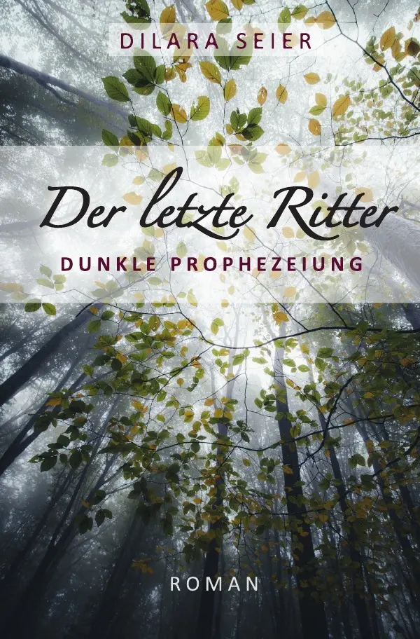 Cover: 9783741868757 | Der letzte Ritter | Dunkle Prophezeiung | Dilara Seier | Taschenbuch