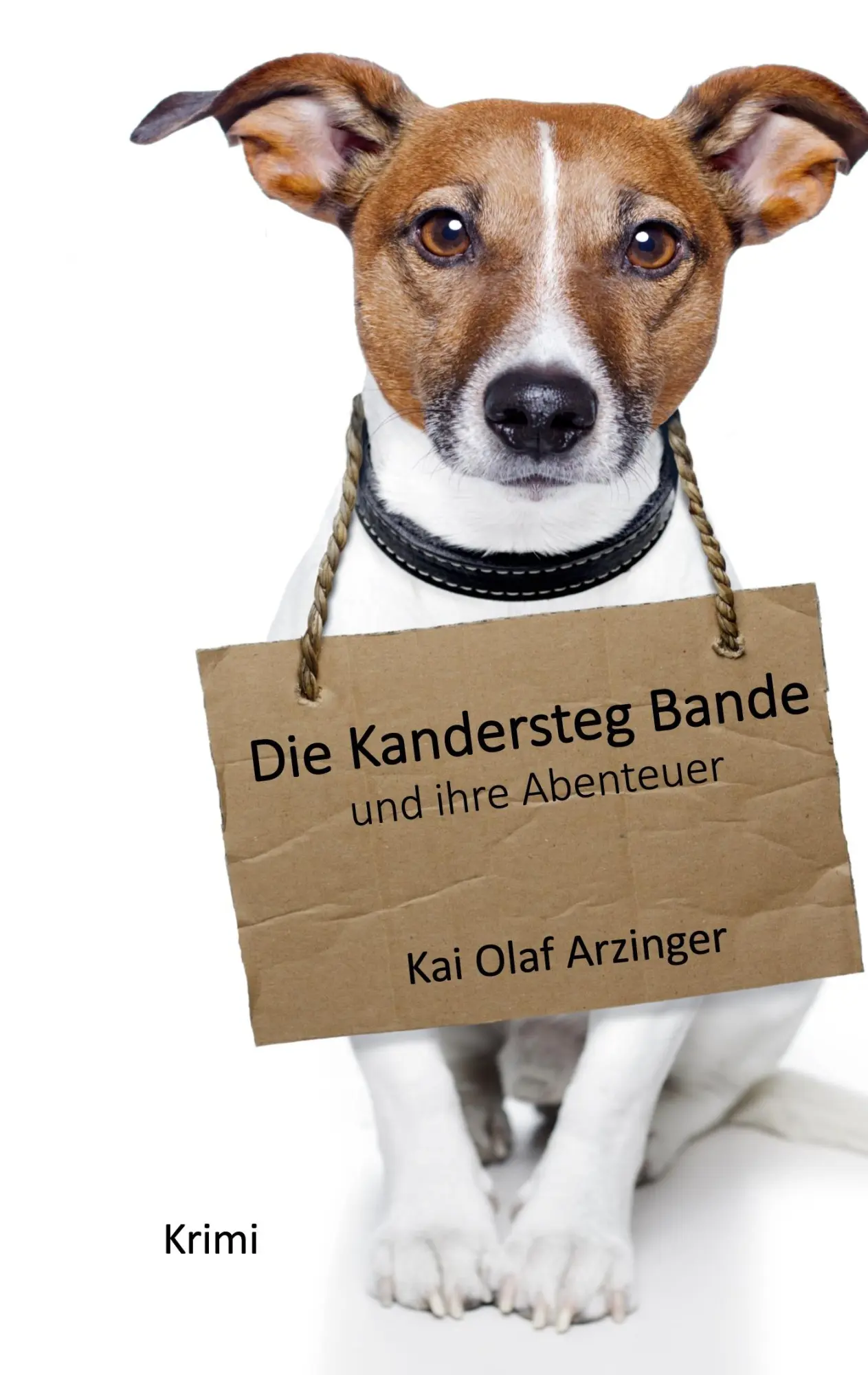 Cover: 9783769378757 | Die Kandersteg Bande | Und ihre Abenteuer | Kai Olaf Arzinger | Buch