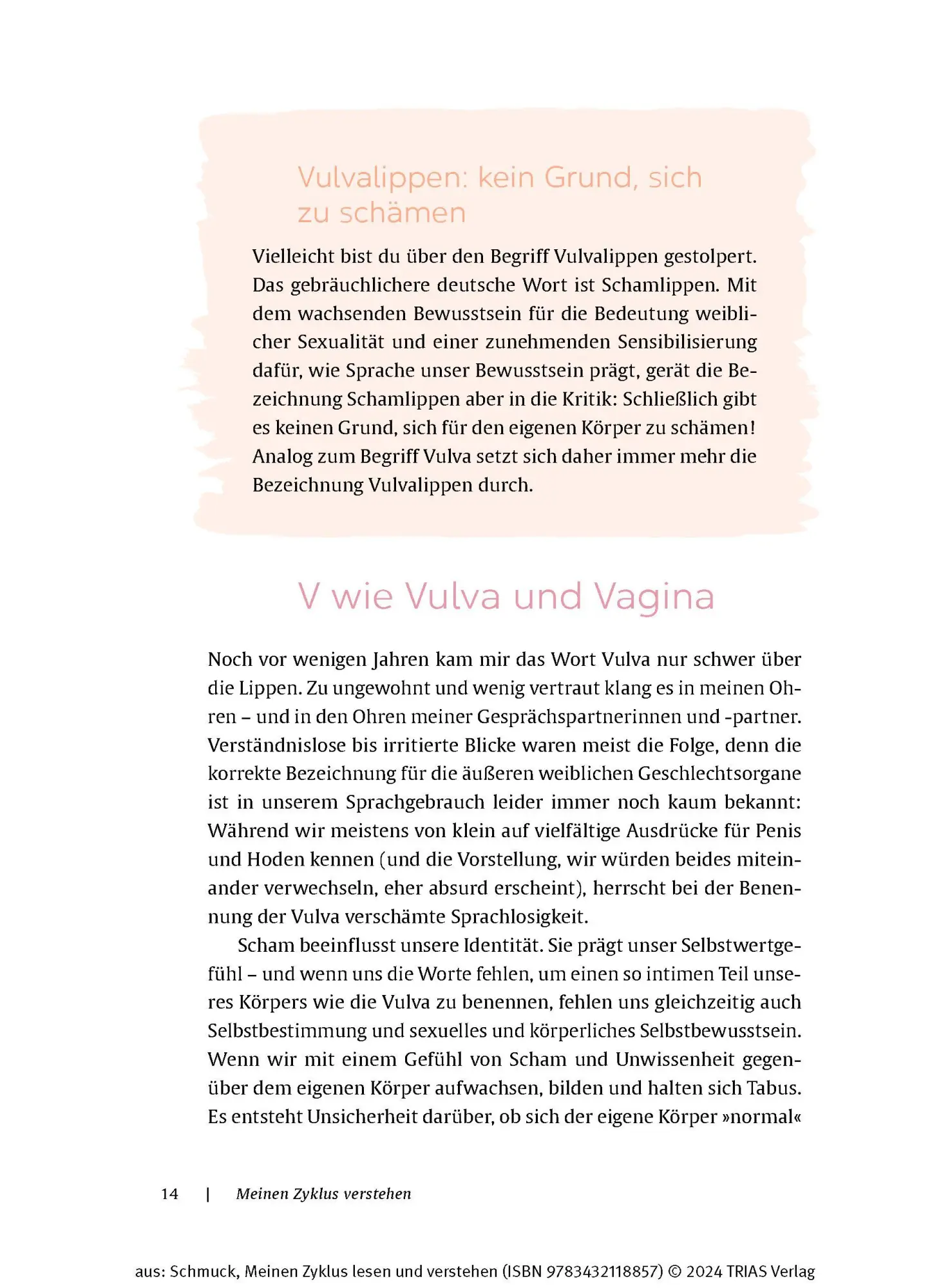 Bild: 9783432118857 | Meinen Zyklus lesen und verstehen | Anne Schmuck | Taschenbuch | 2024