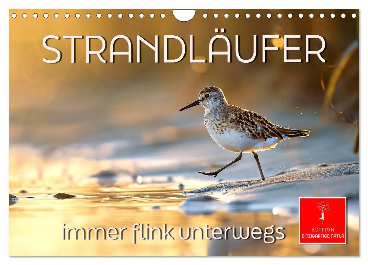 Cover: 9783457348857 | Strandläufer - immer flink unterwegs (Wandkalender 2026 DIN A4...
